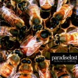 Paradise Lost - Believe In Nothing